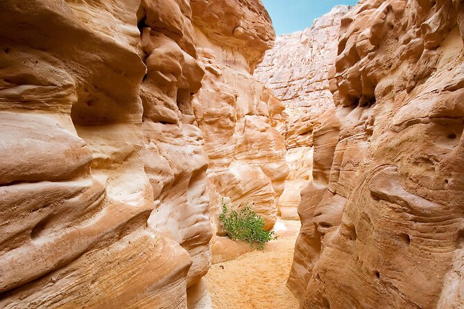 4x4 Jeep Adventure From Dahab - Included Services