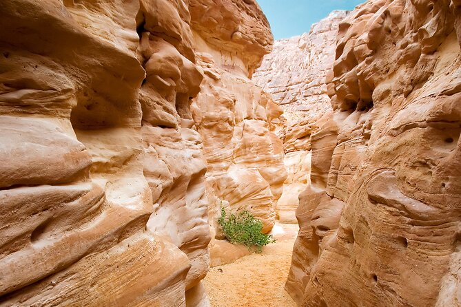 4x4 Jeep Adventure From Sharm - Booking Details