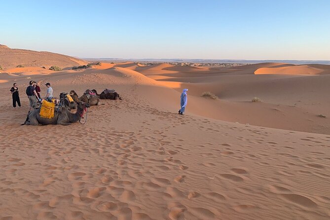 4×4 Jeep Sahara Desert Tour With Lunch & Hotel Transfers - Additional Information