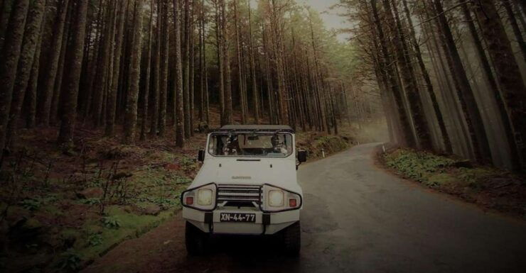 4x4 Jeep Tour to the East & Northeast of Madeira - Good To Know