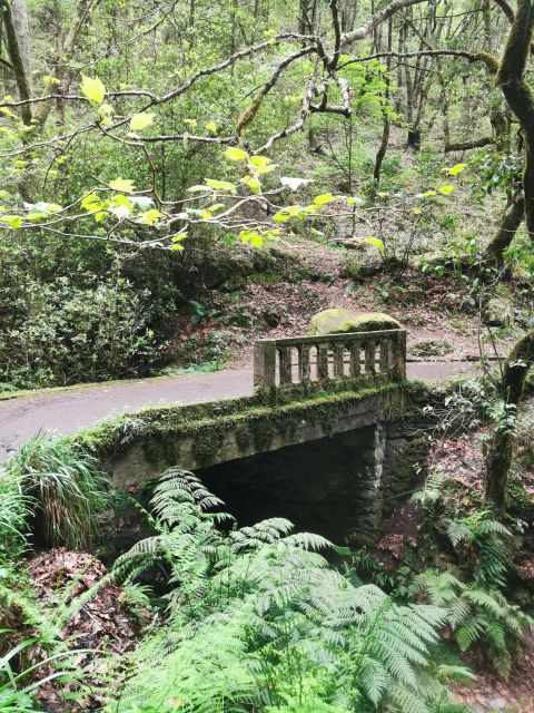 4x4 Jeep Tour to the East & Northeast of Madeira - Important Information