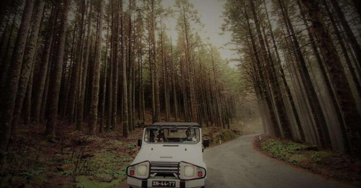 4x4 Jeep Tour to the East & Northeast of Madeira - Tour Details