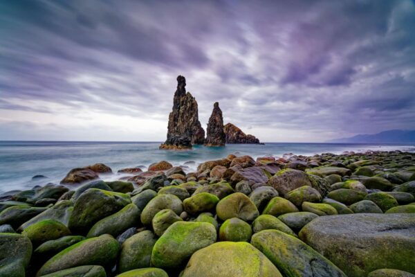 4x4 Jeep Tour to the West & Northwest of Madeira - Inclusions