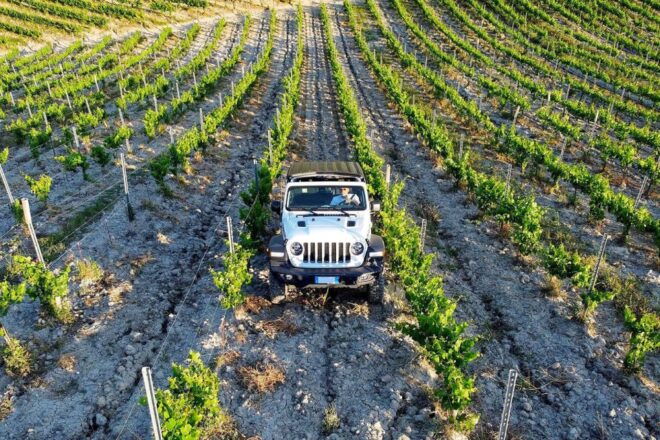 4x4 Jeep Vineyard Safari Tour With Lunch and Wine Tasting - Inclusions