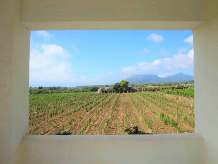 4x4 Private Tour in Orosei W/ Vineyard & Nuraghe Visit - Tour Details