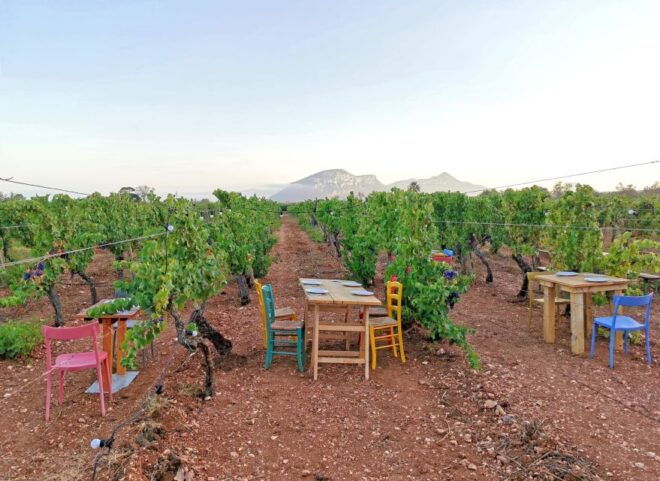 4x4 Private Tour in Orosei W/ Vineyard & Nuraghe Visit - Booking Information