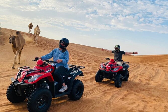 4X4 Safari Dubai Desert With Dinner and Quad Bike ATV - Traveler Photos