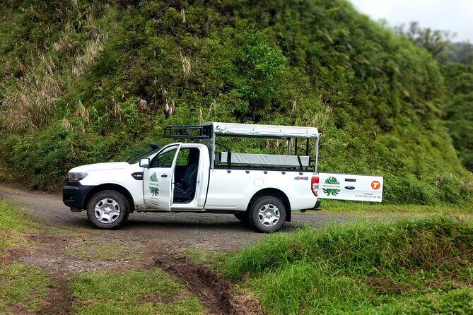 4x4 Safari HEREAKIMANU Tour in the Heart of Tahiti - Final Word