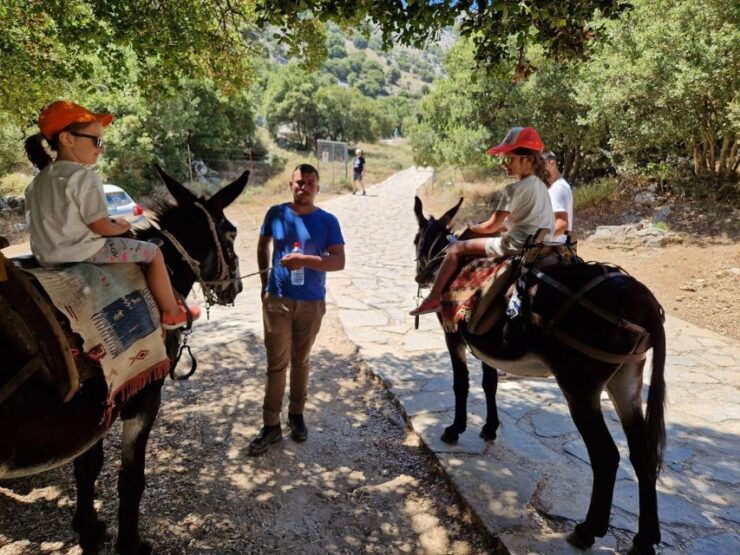 4X4 Self Drive Safari Free Pick up & Lunch - Activity Details