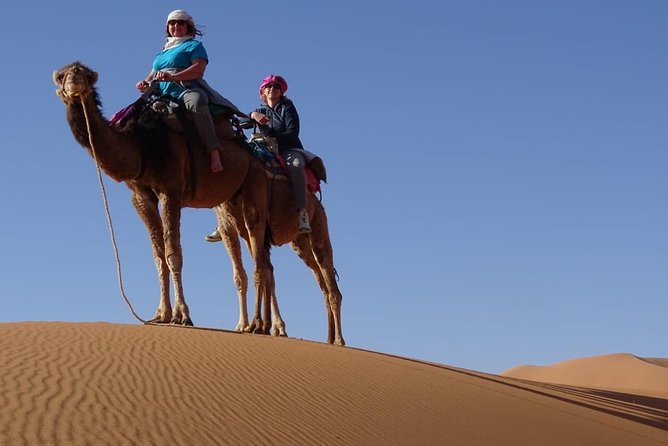 4x4 South Morocco and Sahara Desert Private Tour - Transportation and Guides