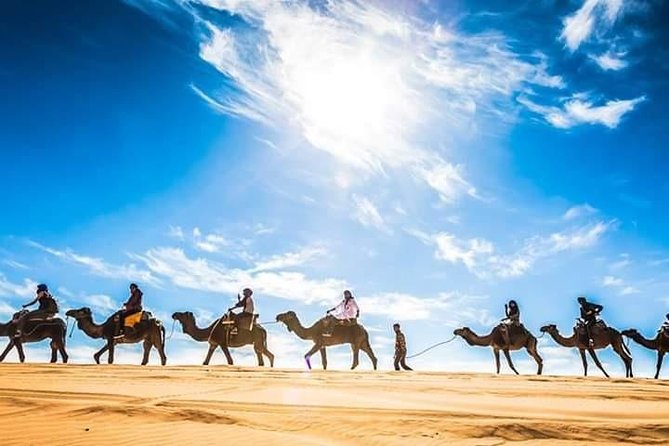 4x4 South Morocco and Sahara Desert Private Tour - Common Questions