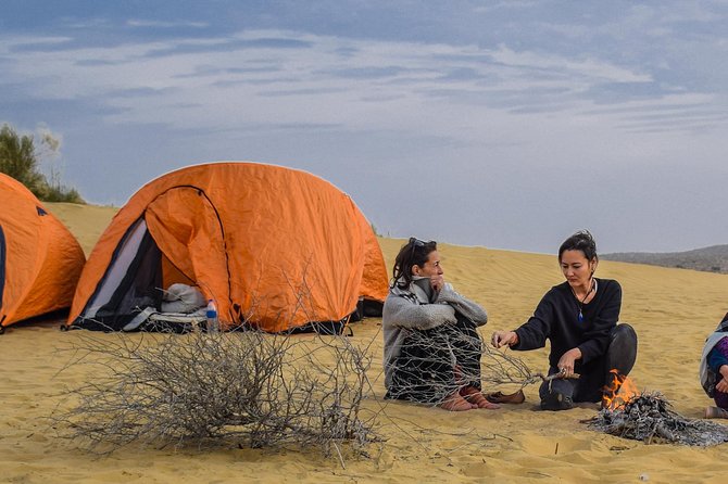 4x4 Thar Desert Safari - Pricing and Booking