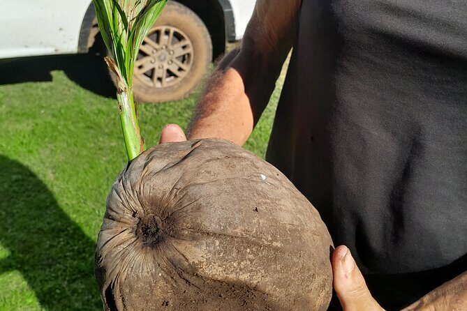 4x4 Tour Culture, Crafts and Agritourism in Raiatea - Final Thoughts