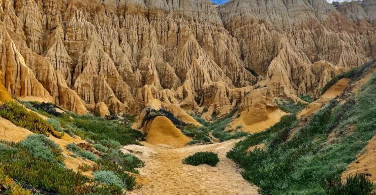 4X4 Tour Through the Secret Beaches of Melides - Experience Highlights