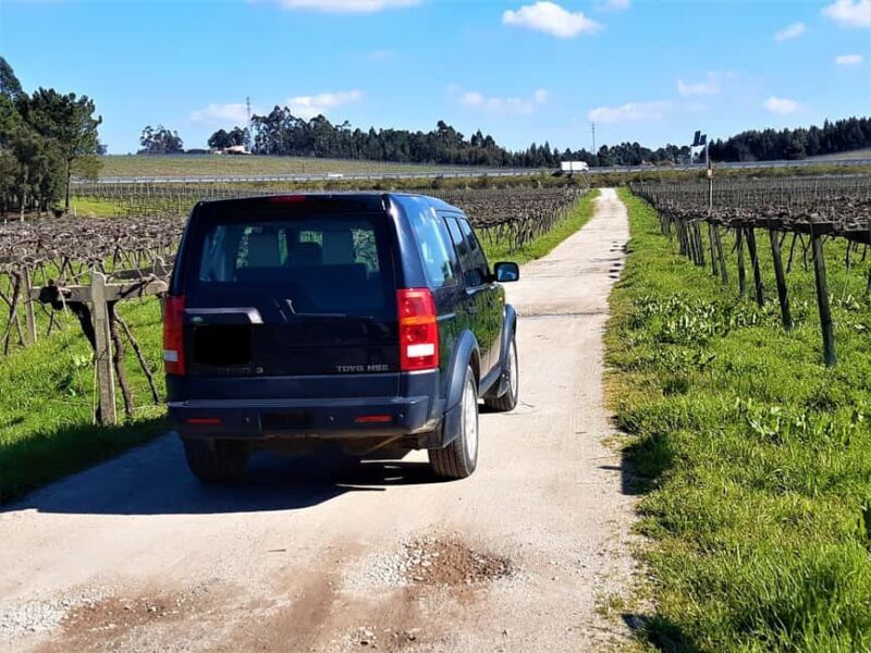 4x4 & Vinho Verde with transportation for the activity - Discover Authentic Portugal on the 4x4 & Vinho Verde Tour