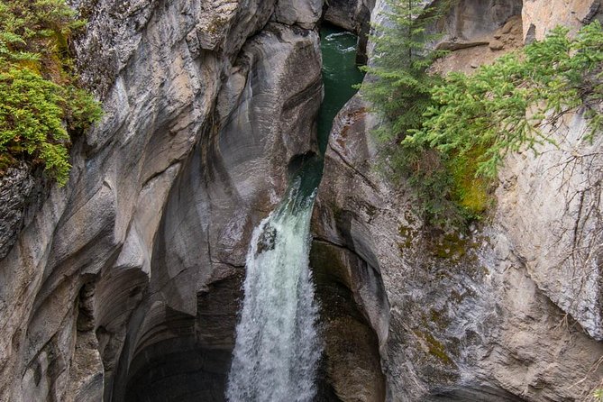 5.5-Hour Jasper Wildlife and Waterfalls Tour With Maligne Lake Cruise From Jasper - Tour Highlights