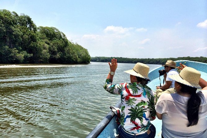5 Attractive With Aquarium And Mandinga Included (in Veracruz) - Overview and Benefits