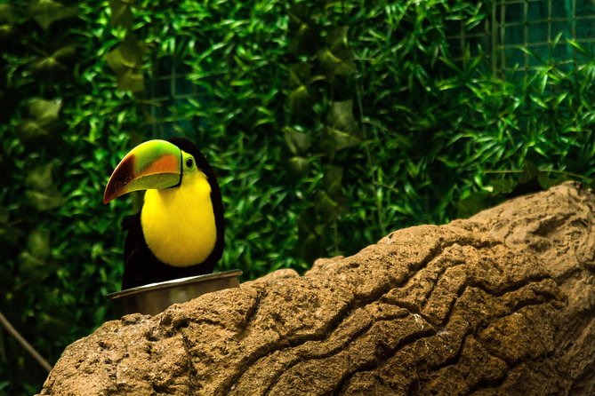 5 Attractive With Aquarium And Mandinga Included (in Veracruz) - Meeting and Pickup