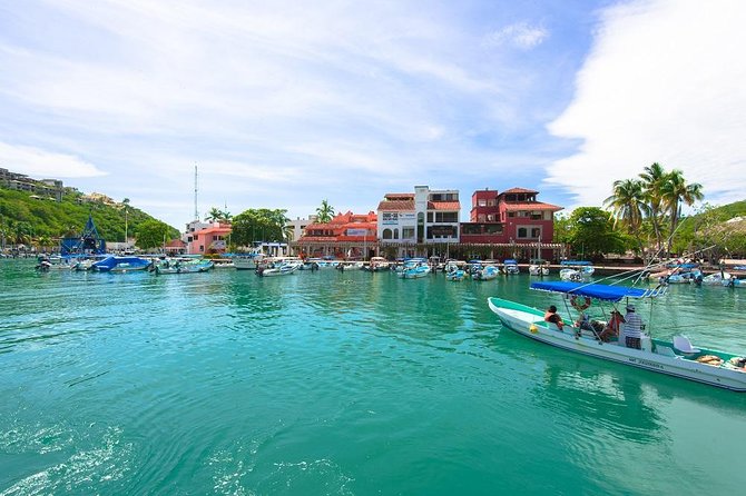 5-Bay Exclusive Premium Panga Experience - Half-Day Excursion in Santa María Huatulco