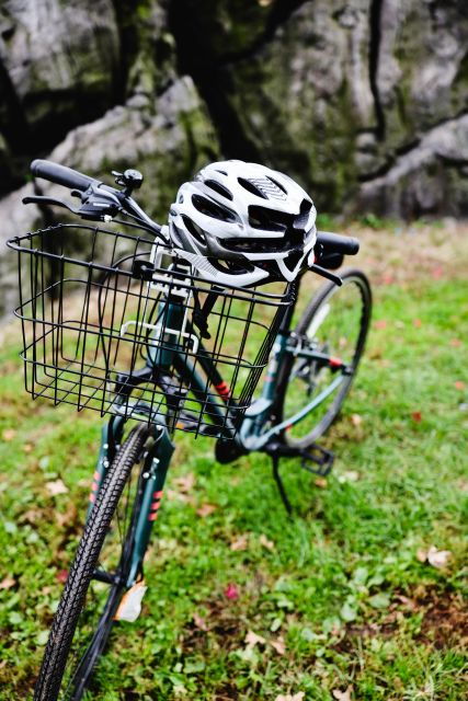 5 Borough Bike Tour Bike Rentals - Tour Highlights