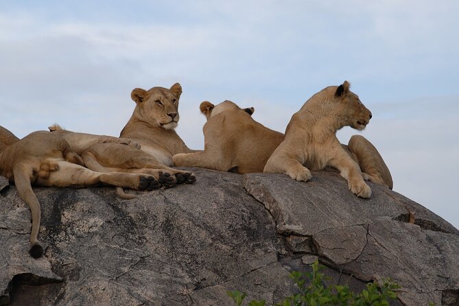 5 Day 4 Nights Private Adventure Camping Norther Tanzania Safari - Price Inclusions and Exclusions