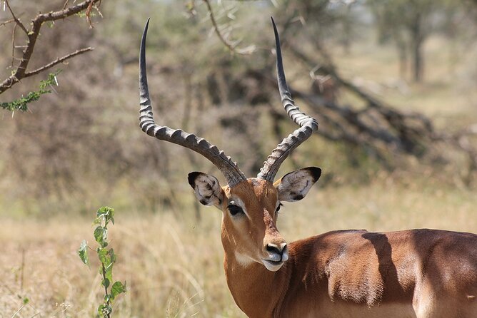 5 Day 4 Nights Private Adventure Camping Norther Tanzania Safari - Booking Confirmation and Accessibility