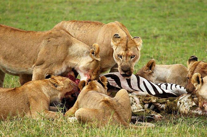 5 Day 4 Nights Private Adventure Camping Norther Tanzania Safari - What To Bring