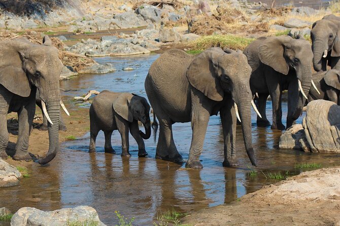 5 Day 4 Nights Private Adventure Camping Norther Tanzania Safari - Important Reminders
