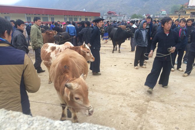 5-Day Adventure To North Vietnam: Ba Be Lake And Ha Giang Loop - Day 4: Visit Local Villages