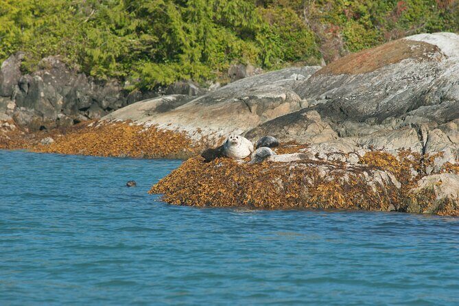 5-Day Adventure Tour in Vancouver Island Exploration - The Sum Up