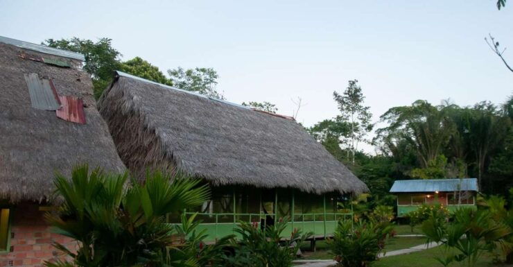 5-Day All Inclusive Guided Jungle Tour From Iquitos - Tour Overview