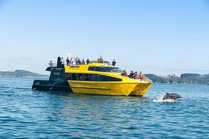 5-Day Bay of Islands, Auckland, Hobbiton, Rotorua & Waitomo Tour - Good To Know