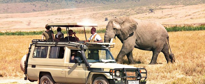 5 Day Best Camping Safari in Tanzania Parks - Frequently Asked Questions