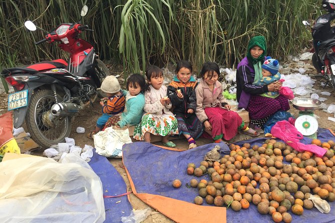 5-Day Best North Vietnam Tour: Ba Be Lake - Ban Gioc Waterfall - Ha Giang Loop - Ha Giang Loop: A Scenic Adventure