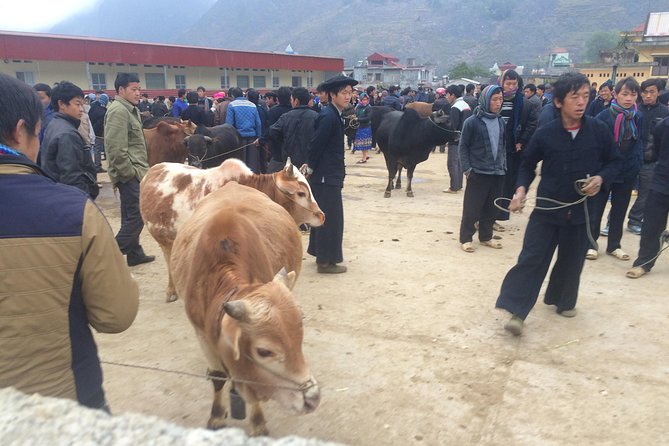 5-Day Best North Vietnam Tour: Ba Be Lake - Ban Gioc Waterfall - Ha Giang Loop - Common Questions