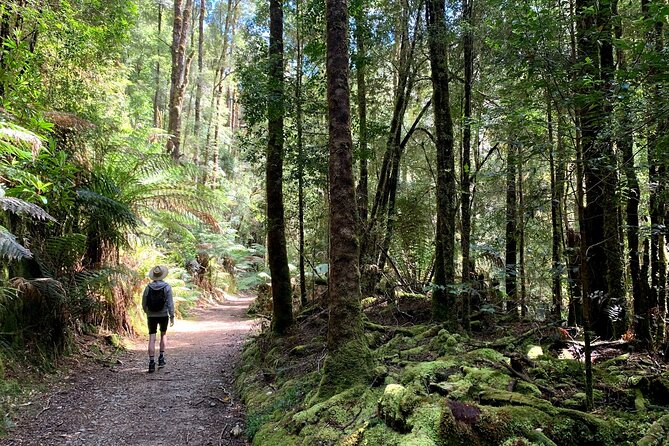 5-Day Best of Tasmania Tour From Hobart - Tour Experience and Activities
