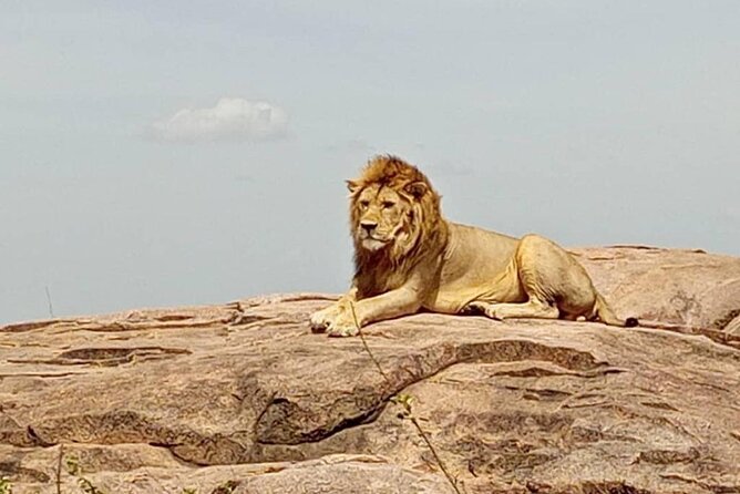 5 Day Camping Safari to Lake Manyara, Serengeti and Ngorongoro Crater - Safari Highlights