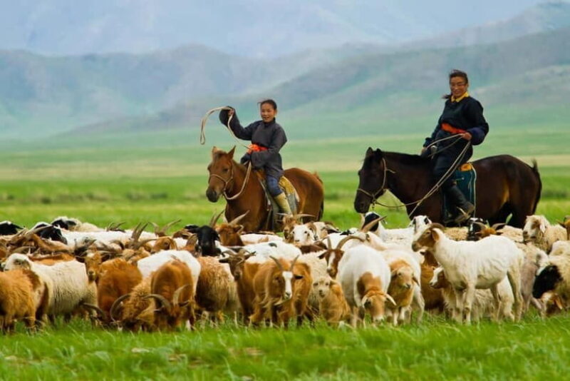 5 day Central Mongolia and Nomad stay tour - FAQ