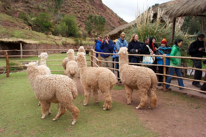 5-Day City Package Cusco, Sacred Valley & Machu Picchu - Contact Information