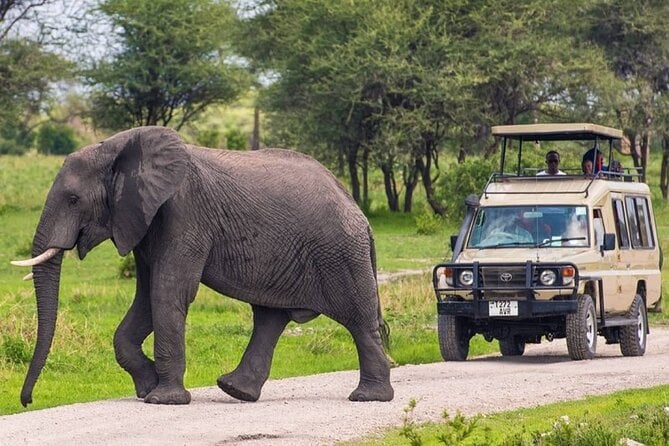 5 Day Classic Lodge Tanzania Wildlife Safari Tour - Accommodation Details