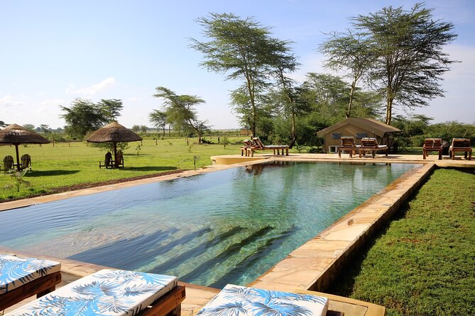 5 Day Classic Safari Cats Calves and Crater - Accommodation Details