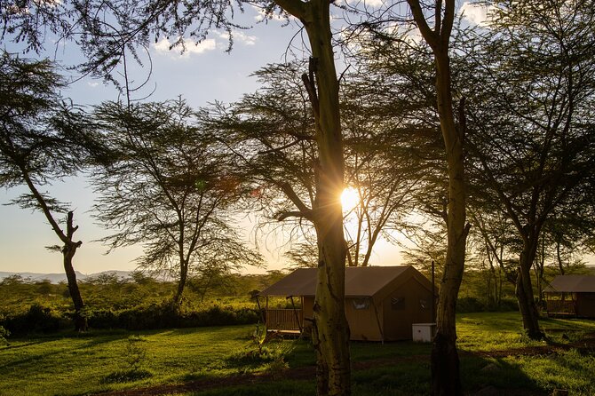 5 Day Classic Safari Cats Calves and Crater - Wildlife Encounters