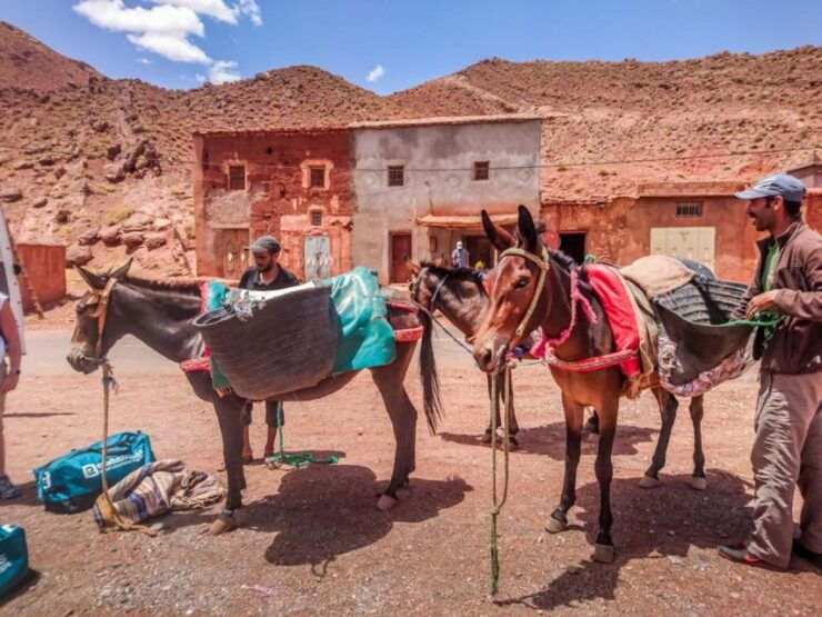 5 Day Combined Atlas Mountains and Sahara Desert Tour - Desert Journey Experience
