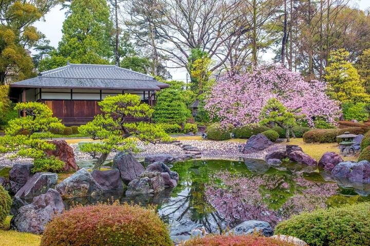 5 Day Cultural Adventure of Kyoto, Nara & Osaka by Tourist Journey - Day 5: Departure from Kyoto