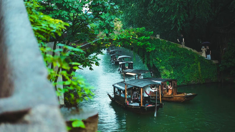 5-Day Cultural Exploration Tour of Shanghai, Suzhou, and Hangzhou - Day four: Feilai Feng, Lingyin Temple and West Lake