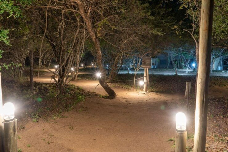 5 Day Dumela Tented Camp Safari - Day 1 and Day 2 Itinerary