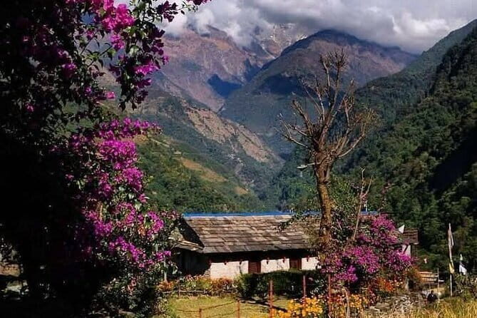 5 Day Easy Annapurna Base Camp Trek - Practical Tips and Considerations