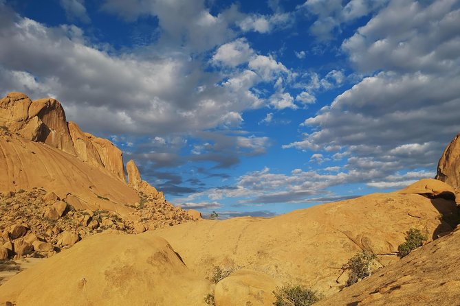 5 Day Etosha Safari Private Guided Tour Namibia - Itinerary Highlights