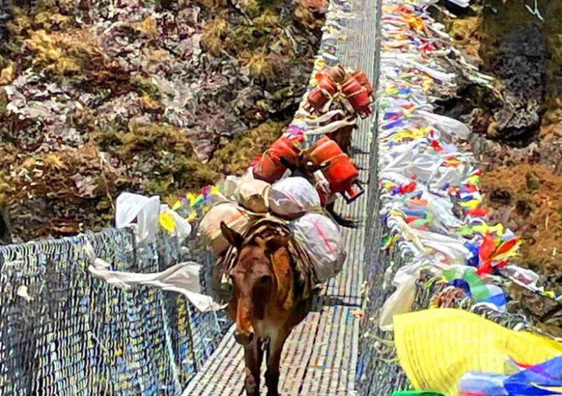 5-Day Everest Tour with Breakfast at Everest View Hotel - Practical Tips for Your Everest Tour