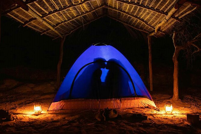 5 Day Explore Tsiriihina River & Baobabs to Morondava - Tour Highlights